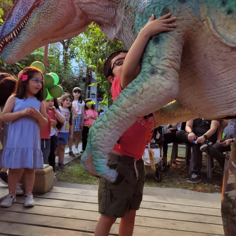 Experiencia interactiva con EROP